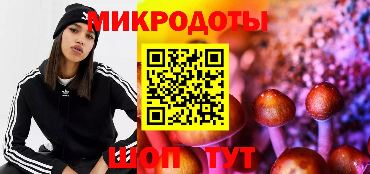 Галлюциногенные грибы мухоморы Дальнереченск